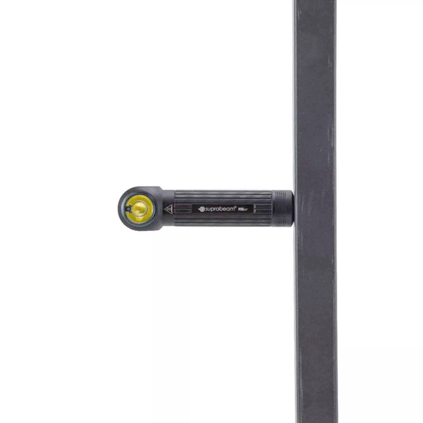 M6xr Multilampe